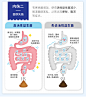NC澳洲养胃粉+NC冷链益生菌 大人调理肠胃成人肠道胃胀气养胃食品-tmall.hk天猫国际