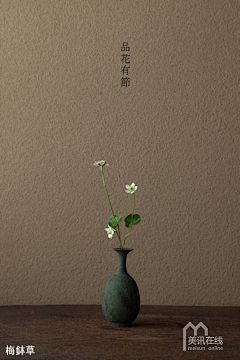 博缘緣采集到插花