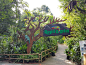 图片：Singapore Zoo - Dezign Format Pte Ltd : 在 Google 上搜索到的图片（来源：dezignformat.com）