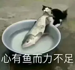 沙雕表情包更新，拿图互动

真是有够好笑了呢
你再说一次试试
心有鱼而力不足
生活和我
想要...展开全文c