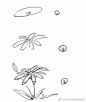 花 画法