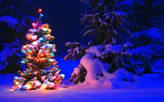 《雪夜》雪地夜景宽屏壁纸桌面壁纸1