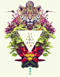 CamaronBrujo 2014 on Behance