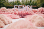 WORLD OF FENDI  2025 - 小红书