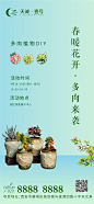 【源文件下载】 海报 房地产 暖场活动 多肉 DIY 绿植 229985