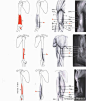 #素材帖#手臂肌肉骨络参考，不会画手臂的同学可以参考