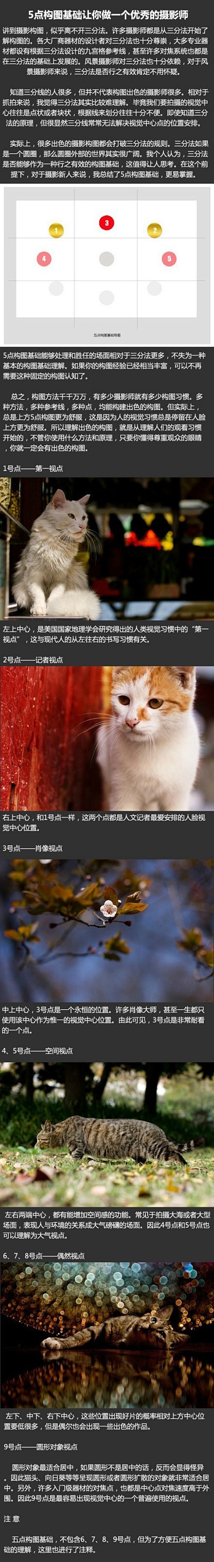 #摄影技巧分享#5点构图基础让你做一个优...