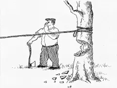 砍树