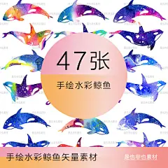 鲸鱼装饰元素PNG免扣图形图案服饰多彩手绘海洋动物插画矢量素材-淘宝网