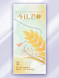二十四节气芒种节气小麦黄色,绿色渐变全屏海报
