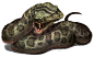 Frontier pit cobra: a viper cobra known in the northern plains of the frontier it is highly venomous with toxins strong enough to kill most frontier dragons.: Snake Sketch, Enemies, Ideas, Creature, Creature Serpentine, Snake Drawing Tutorial, Serpent Per