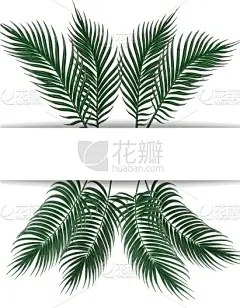 暗色,鸡尾酒,绿色,棕榈叶,纺织品,加利福尼亚,壁纸,现代,布置,复古
