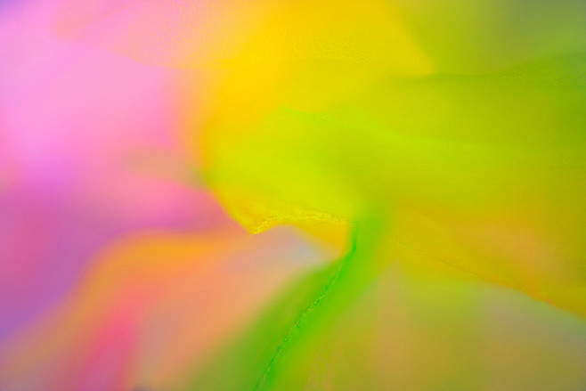 0187c160a23f9011013e...