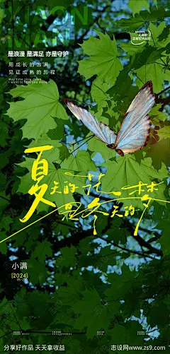 小满海报-源文件-志设网-zs9.com