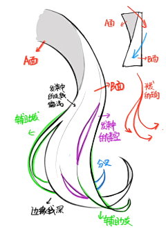 束己ii采集到漂亮头发