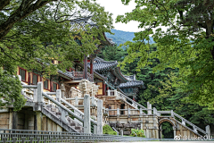 -南北-采集到长安储备
