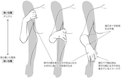 内啡肽/采集到素材