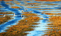 贵州威宁草海位于云贵高原中部顶端的乌蒙山麓腹地，属湿地生态系统类型的国家级自然保护区。典型的高原湿地生态系统，是中国特有的高原鹤类黑颈鹤的主要越冬地之一。草海属长江水系，是金沙江支流横江上游洛泽河的上游湖泊，水源补给主要来自大气降水，其次是地下水补给。草海湖集雨面积96平方千米，是贵州高原上最大的天然淡水湖泊。草海湖正常蓄水面积为19.8平方千米，最大水深5米。草海湿地生态系统包括草海水域、浅水沼泽和莎草湿地、草甸等湿地生境。