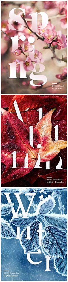 HyInG_xq采集到节日