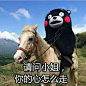 请问小姐，你的心怎么走？