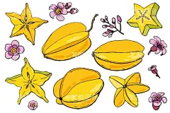 卡通杨桃  - 源文件下载【酷图网】卡通杨桃素材,杨桃,杨桃海报素材,杨桃广告,水果,瓶贴,可爱,宣传,杨桃素材,杨桃图片,杨桃包装,美味,新鲜杨桃,卡通杨桃,插画,插图,免扣,素材,元素,矢量,卡通,手绘,手绘杨桃,标志,logo,简约,图案,图标,杨桃插画,儿童绘本,矢量杨桃,卡通水果,杨桃促销,清新,礼盒,线稿,五角星,星,花,