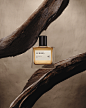 branding  logo perfume Packaging product design  Render 3д