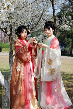 贼怼怼采集到古风/汉服