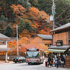 和蔼可亲菜菜采集到场景