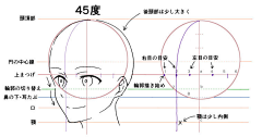 树懒不是懒采集到绘图教程素材