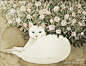 日本插画师Midori Yamad画笔下的猫就像一个个不同气质的女人，或许你能从中找到自己的影子。