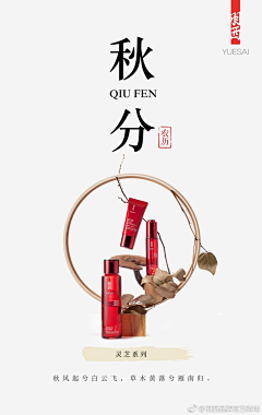 Candance_龙婵娟采集到广告海报