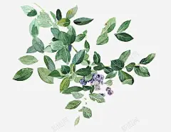 鲜花背景鲜花 设计图片 免费下载 页面网页 平面电商 创意素材