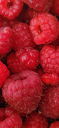 原图壁纸：清凉水果，夏季降暑