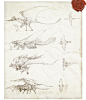 西方龙原画来自cgbook.cn (379)