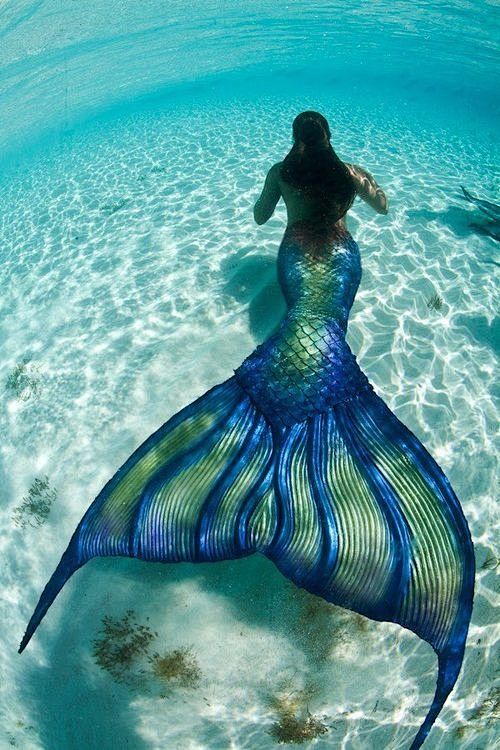 Mermaid: 