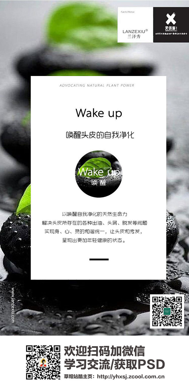 兰泽秀控油专家、兰序生物、官网、开启头皮...