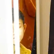 黑云杉
