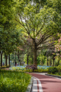 嘉兴口袋公园-033-jiaxing-pocket-park-china-by-igreen-group