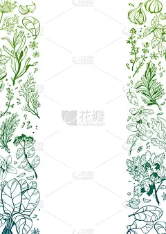 香草和香料海报。手绘线图形。框架装饰市场，菜单，活动，产品设计。