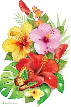 艳丽花卉设计矢量素材