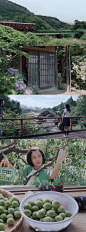 想过是枝裕和电影中的夏天。

cr 电影工厂