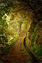 Forest Trail, Plitvice, Croatia