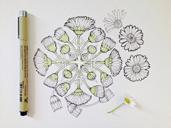 EmmaFabulous采集到Flowers in Progress