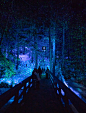 DSC00137-LR