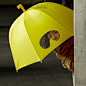 台湾代购.25togo设计GOGGLES创意潜水镜观景窗柠檬黄雨伞★现货的图片