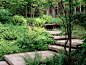 自然中现代的湖畔花园 asla Lakeside Residence by Paul R. Broadhurst + Associates-mooool设计