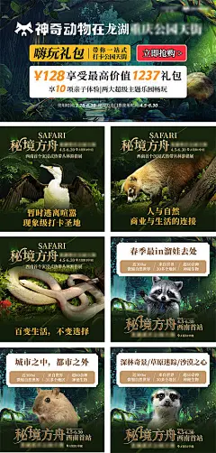 海报 广告展板 推广 动物园 动物 森林 动物园 系列