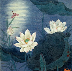 酱油冬瓜菌采集到中国传统美术