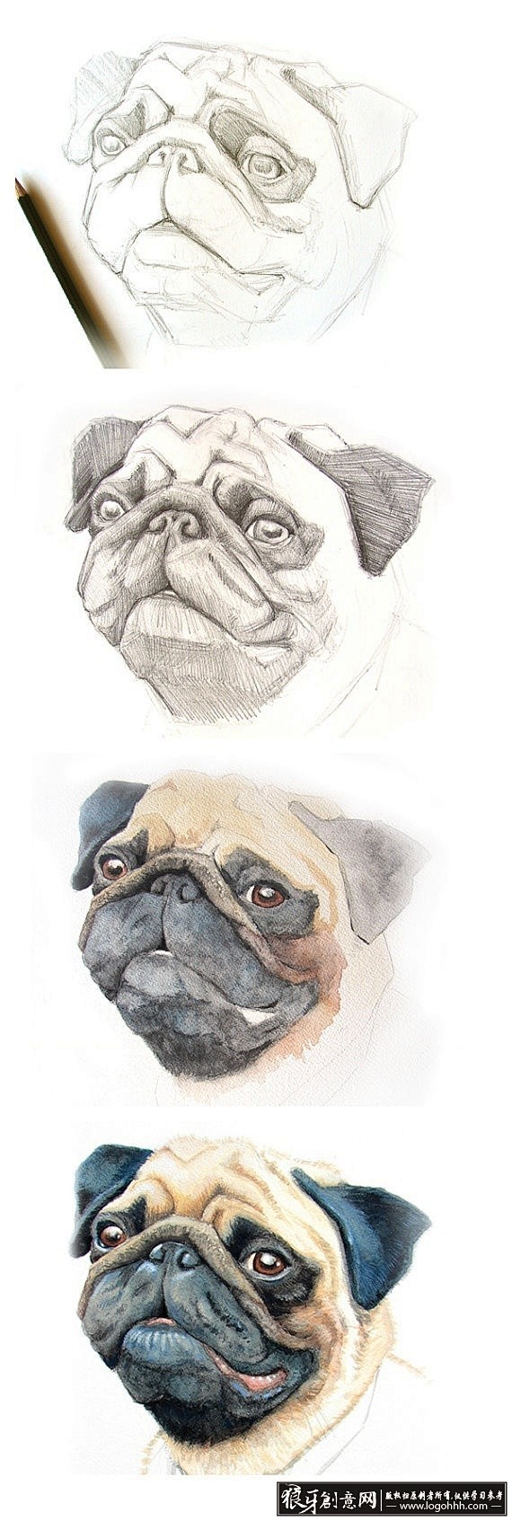 绘画 手绘狗头创意作品欣赏 狗的插画作品...