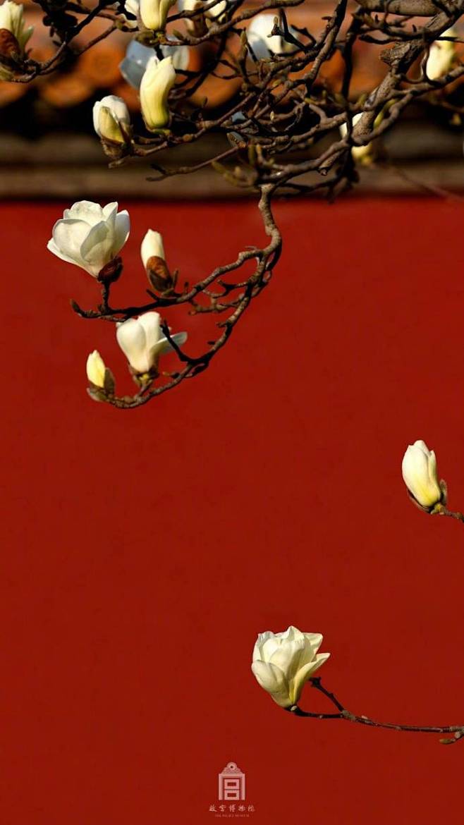 故宫——红.(by故宫博物院) 67676767